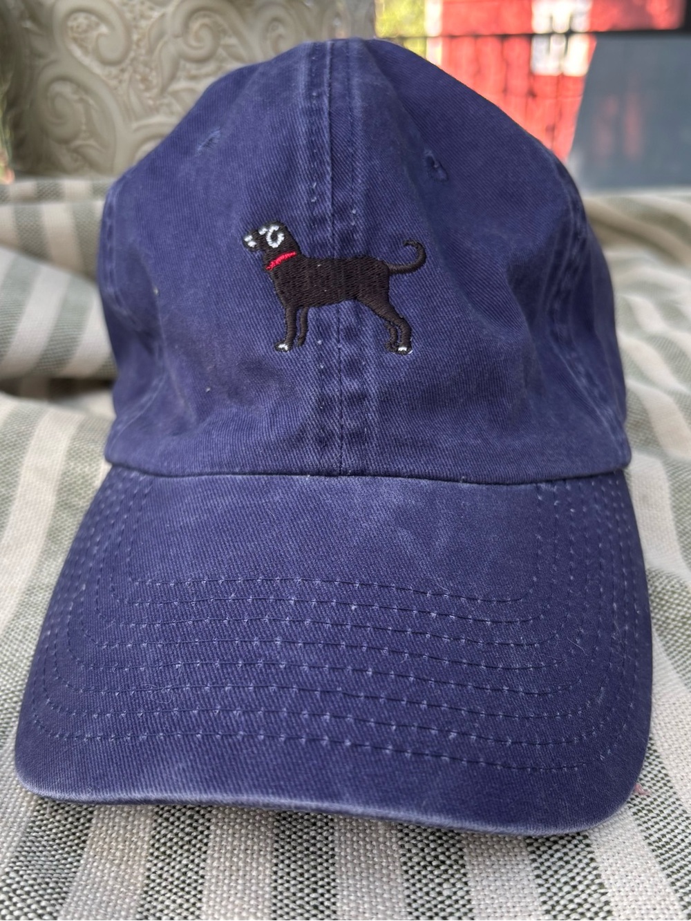 The Black Dog Embroidered Baseball Cap mid fit